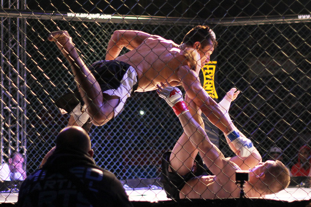 Ansgar Fighting League