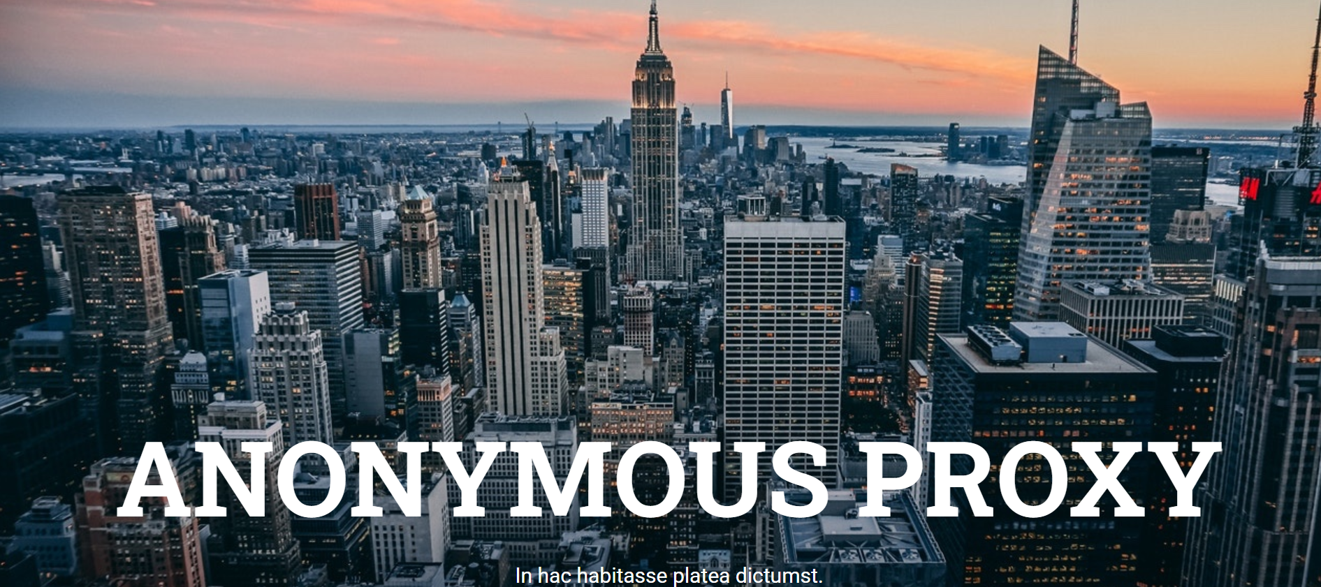 Anonymous proxy